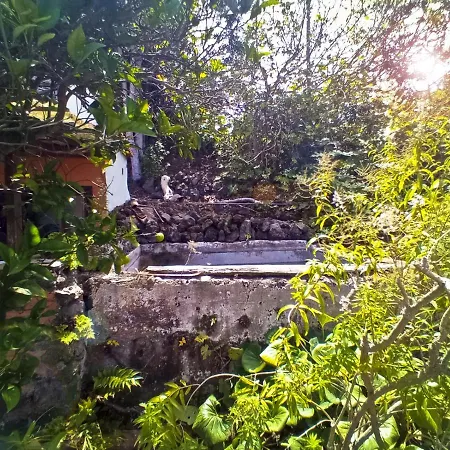 منزل ريفي Casa Primavera